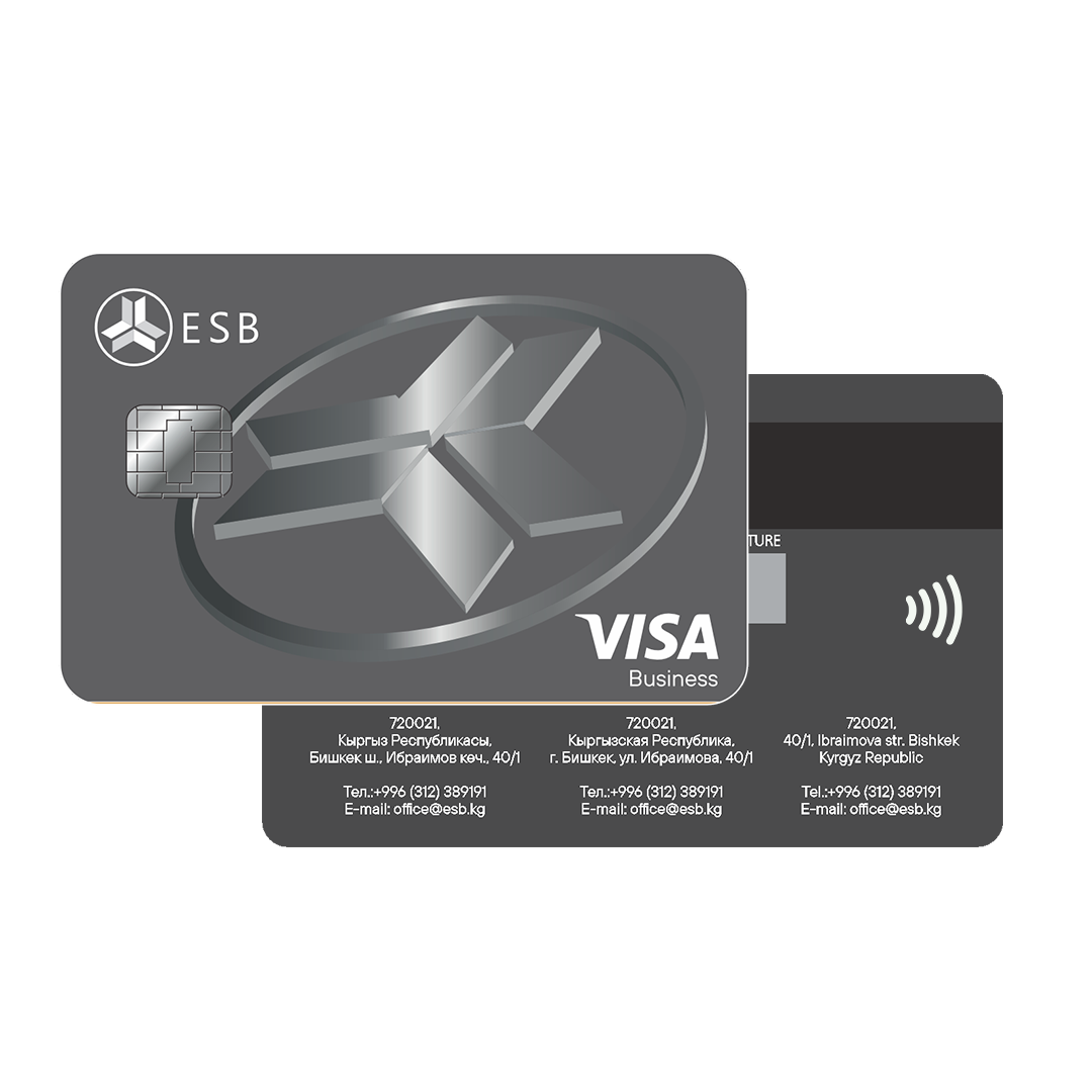 Visa Business
