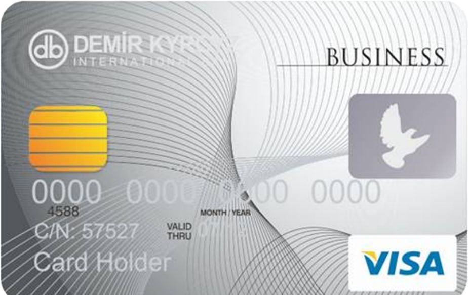 Visa Business