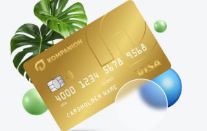 Visa Gold
