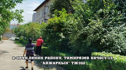 Фото: Кабар (рус.)