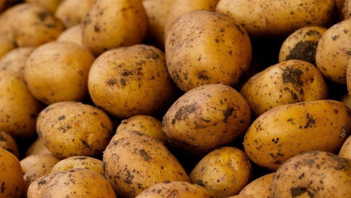 Кыргызстанга картошканы импорттоо боюнча убактылуу тыюу киргизилди
