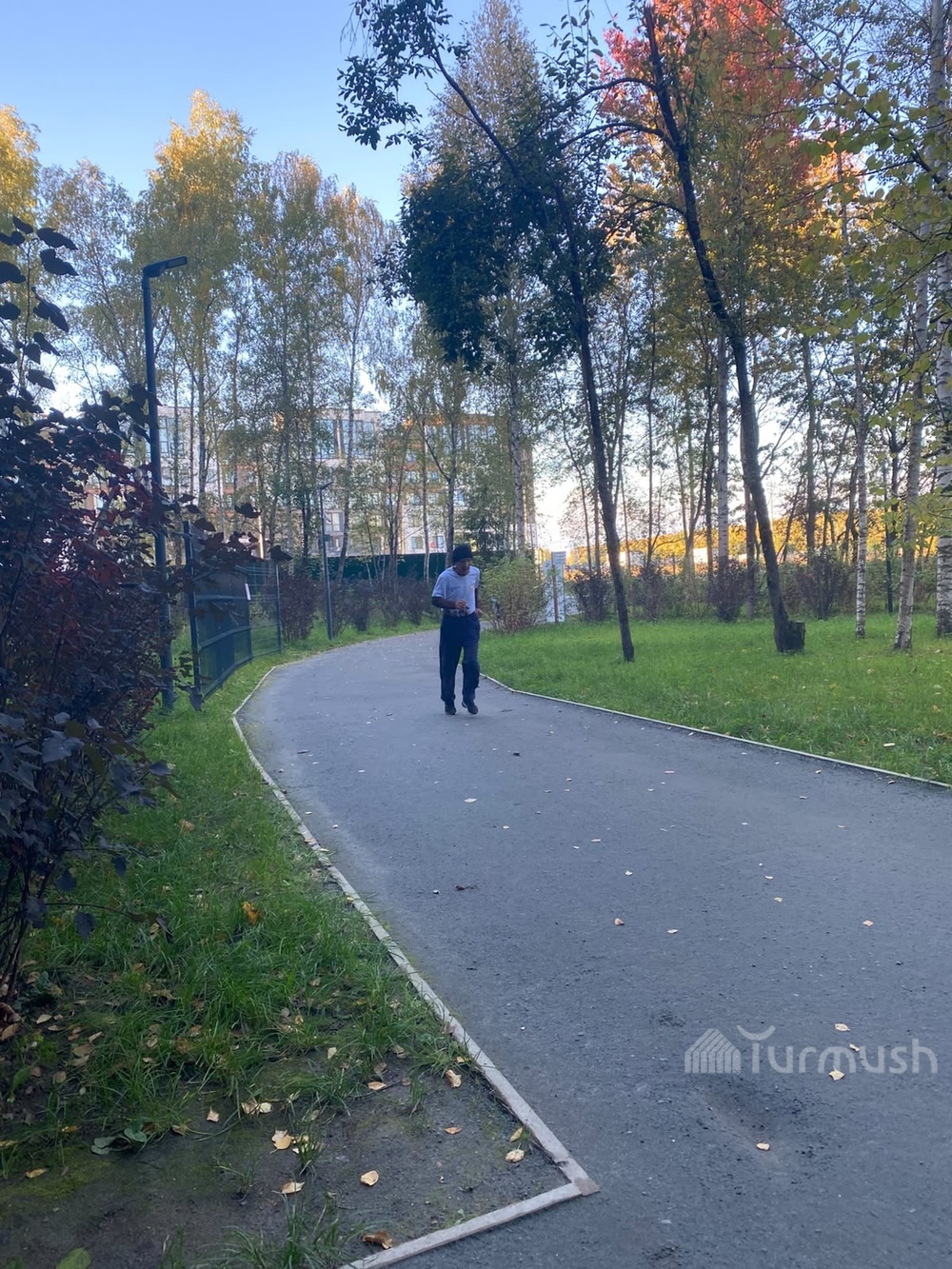 Сүрөт: Turmush