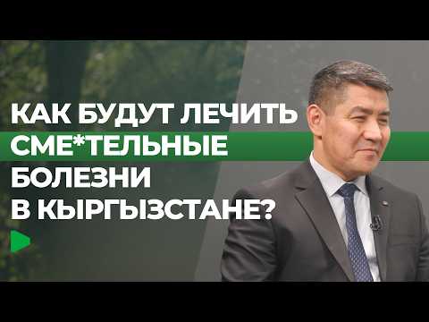 Фото: Номад ТВ (YouTube)