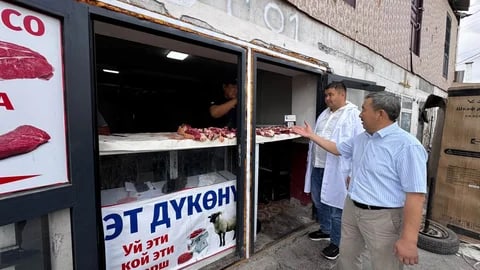 Фото: Кабар (рус.)