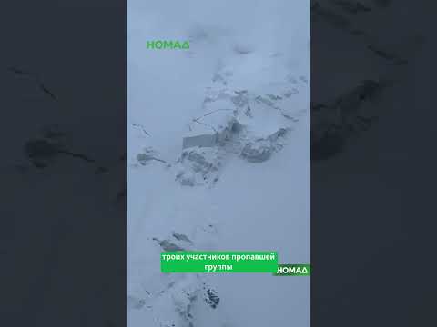 Сүрөт: Номад ТВ (YouTube)