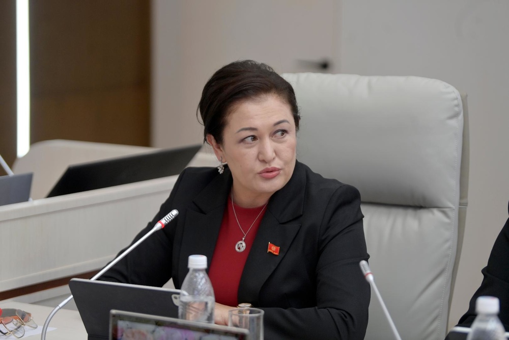 Налоговарлардын укугун коргоо маселеси: карызды кайтарууда сот коргоосу тууралуу депутат көтөрдү
