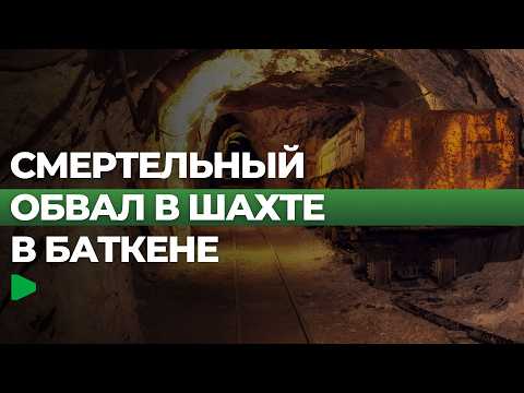 Фото: Номад ТВ (YouTube)