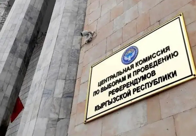 Кыргызстандыктар социалдык тармактардагы агитацияга туура келип калды: ТИК эскертүү берди