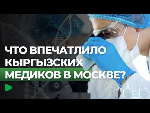 Фото: Номад ТВ (YouTube)