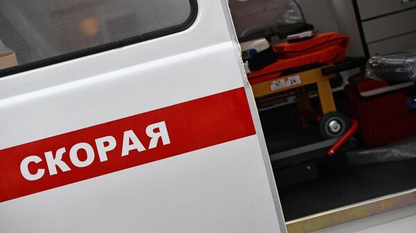 Фото: Sputnik Кыргызстан