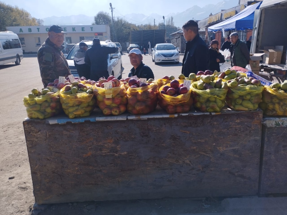 Сүрөт: Turmush