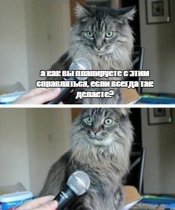 Фото: Сейчас KG