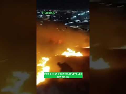 Фото: Номад ТВ (YouTube)