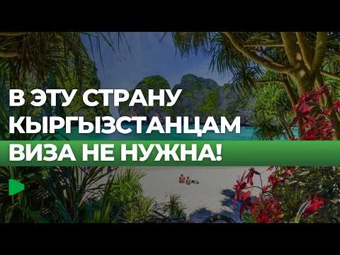 Фото: Номад ТВ (YouTube)