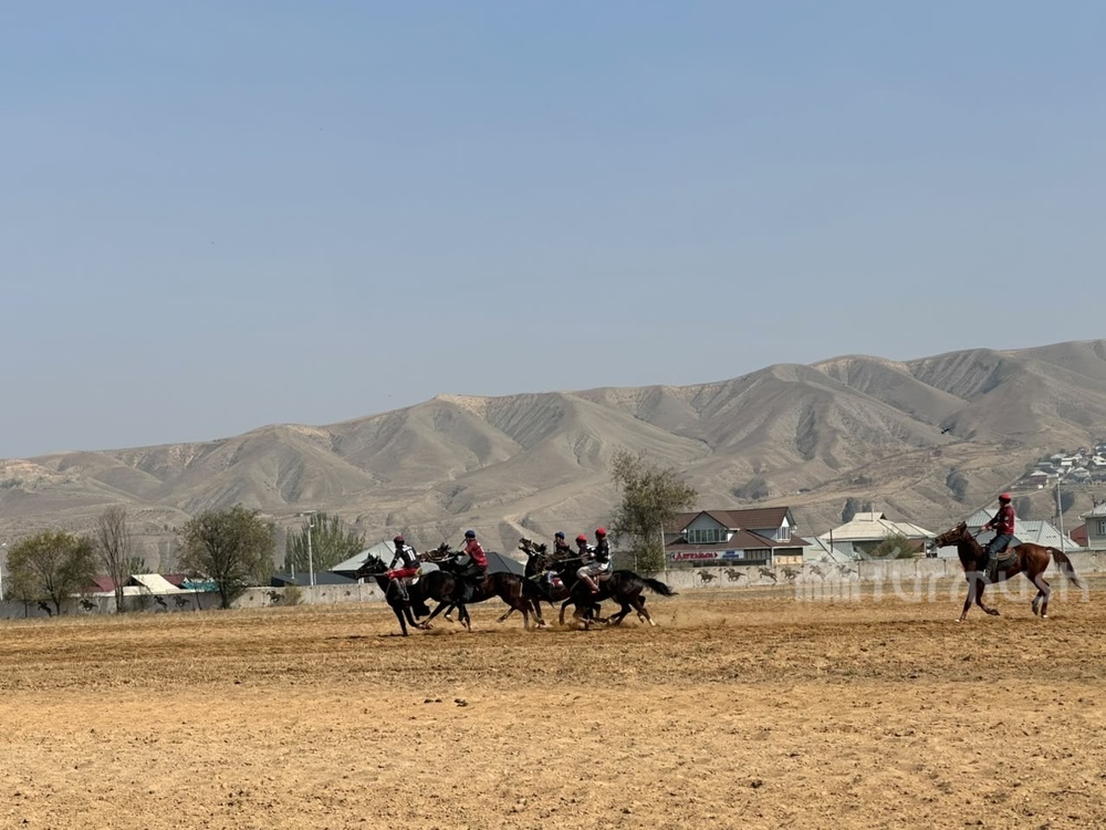 Фото: Turmush