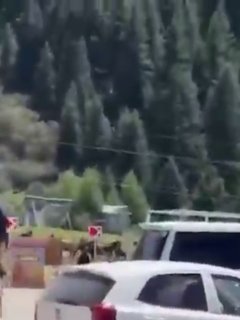 Кырчын капчыгайында атчан кишини ат сүйрөп кетип, ал каза болду
