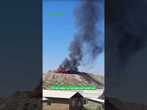 Сүрөт: Номад ТВ (YouTube)