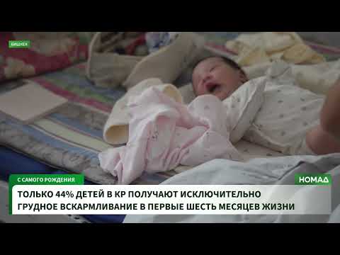 Фото: Номад ТВ (YouTube)