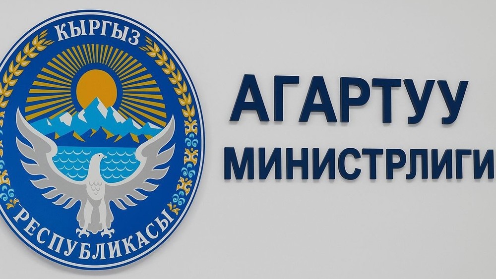 Минпросвещения разъяснил порядок предоставления отпусков учителям: сроки и условия