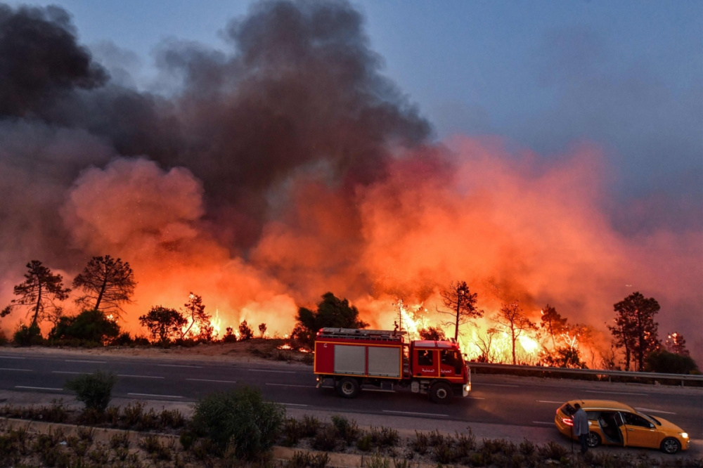 Фото: Kaktus.media