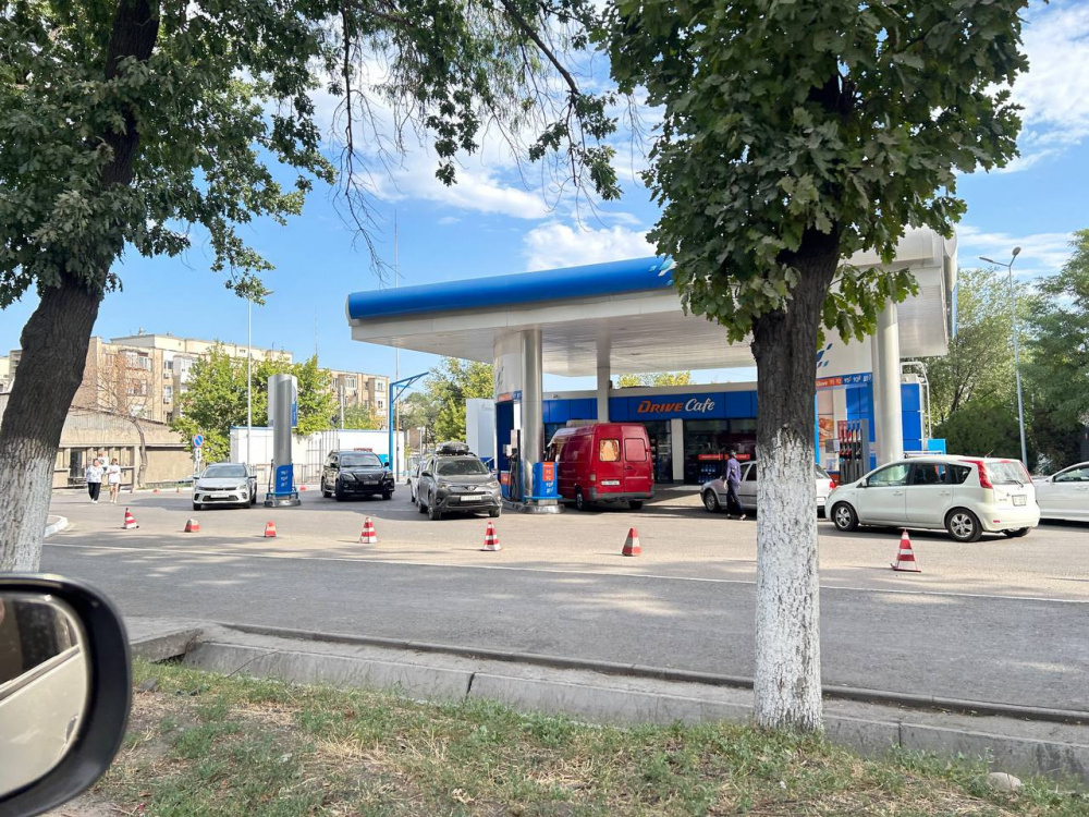 Сүрөт: Kaktus.media