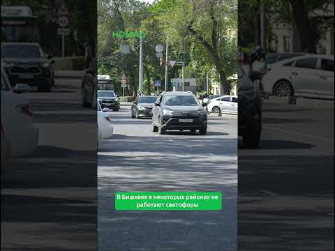 Фото: Номад ТВ (YouTube)