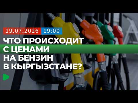 Фото: Номад ТВ (YouTube)