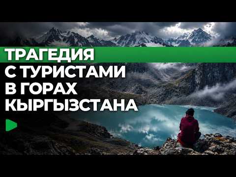 Фото: Номад ТВ (YouTube)