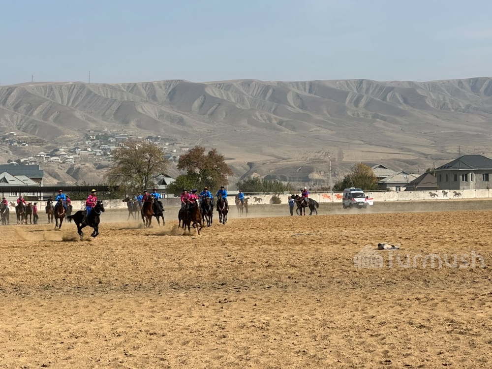 Фото: Turmush