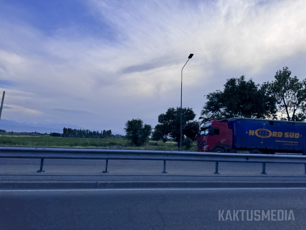 Сүрөт: Kaktus.media