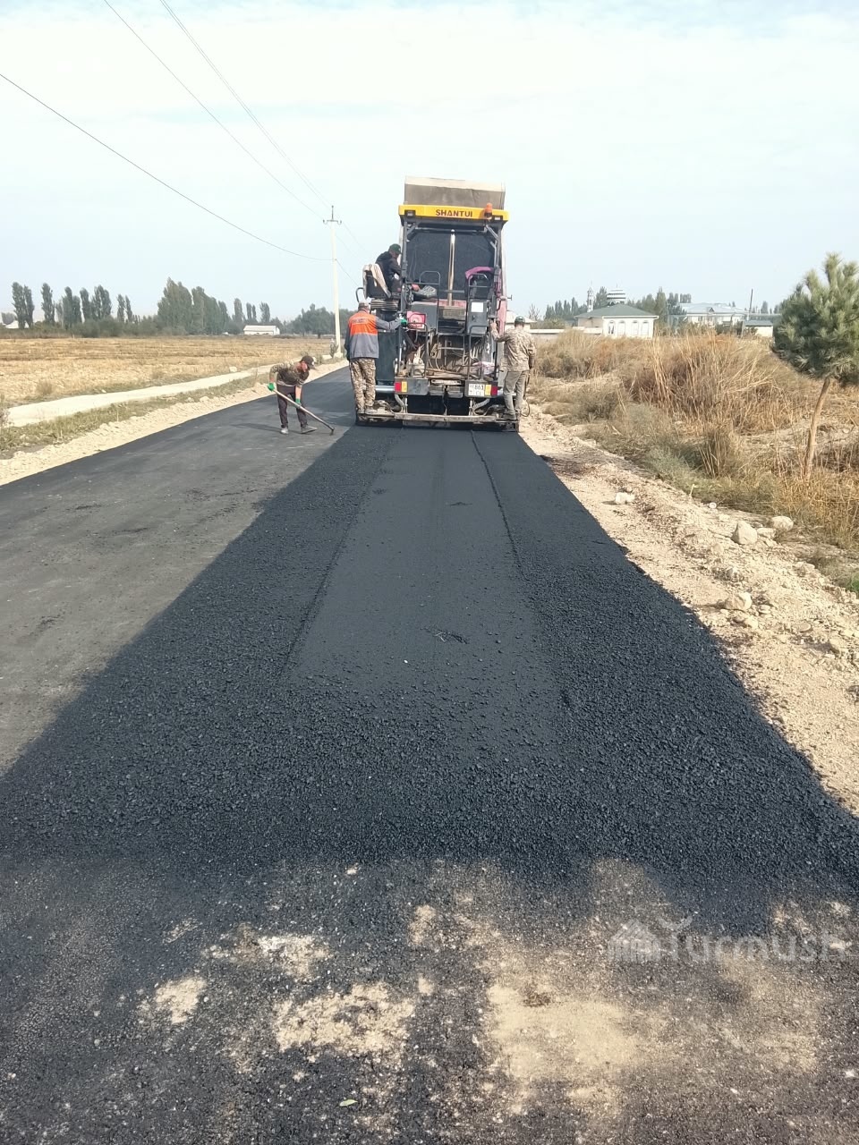 Сүрөт: Turmush
