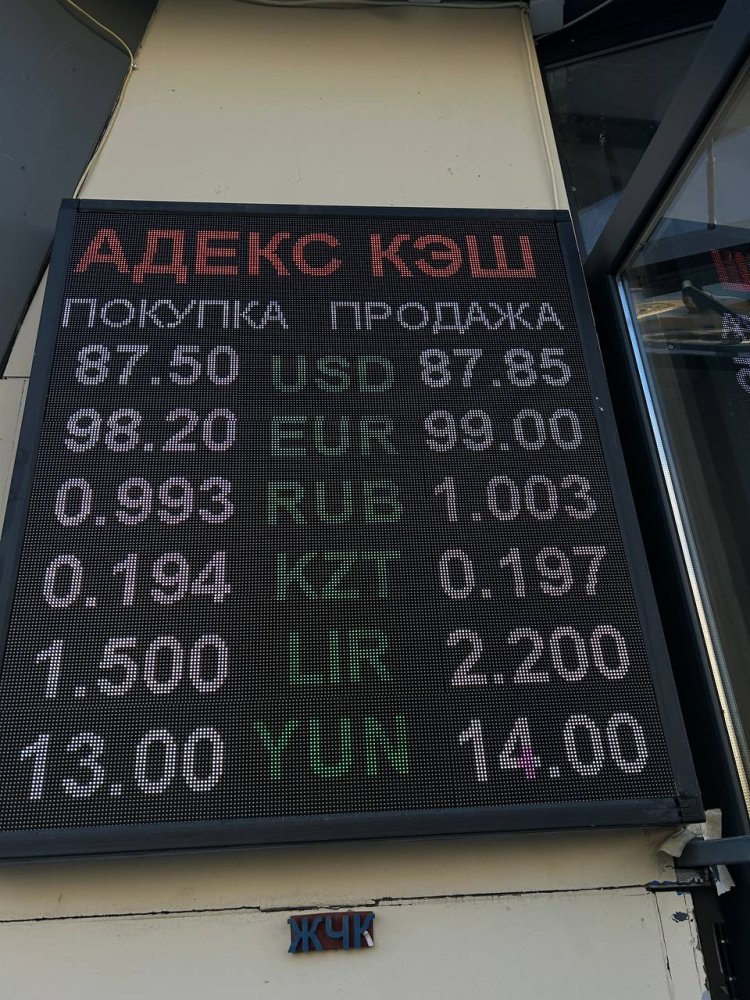 Сүрөт: Kaktus.media