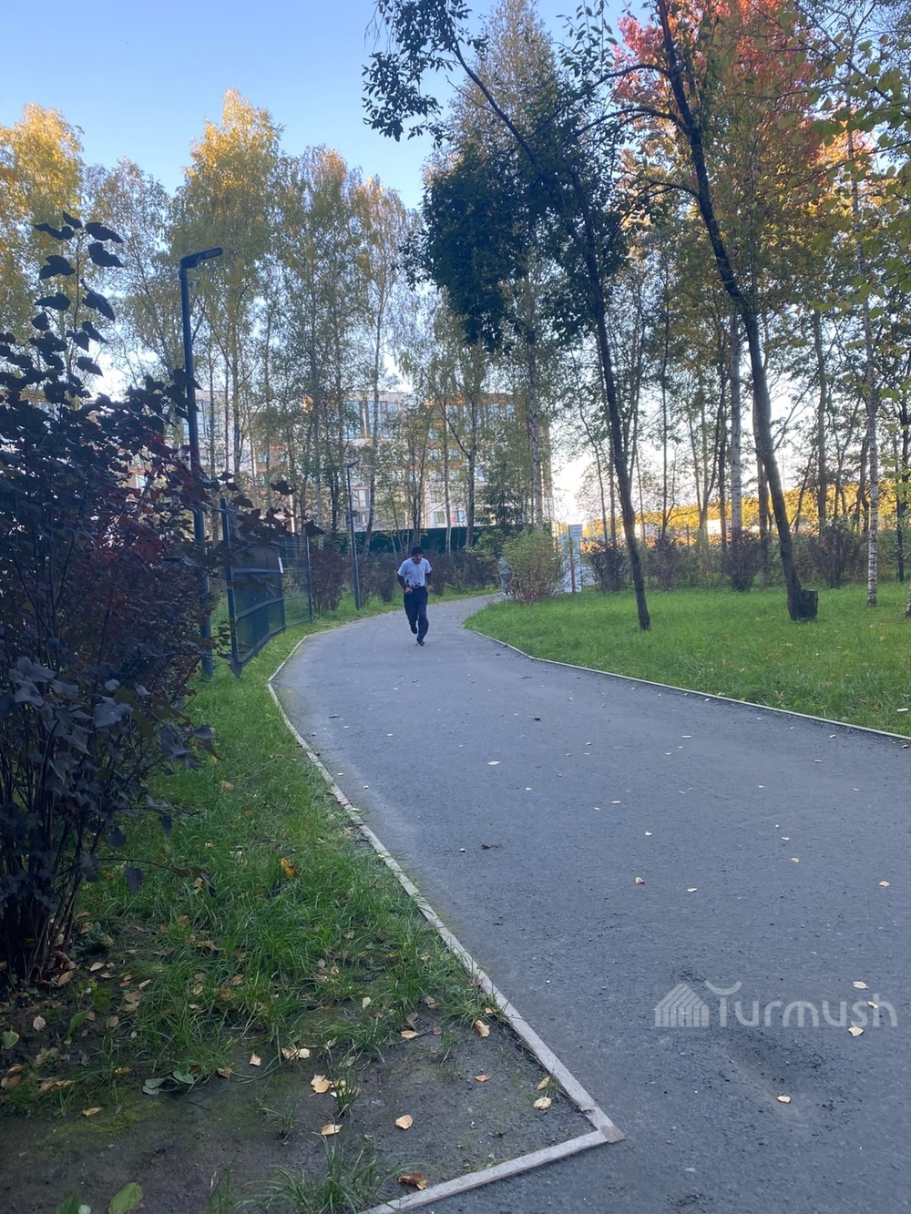 Сүрөт: Turmush
