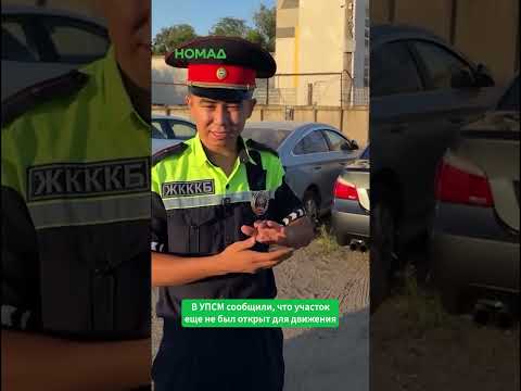 Фото: Номад ТВ (YouTube)