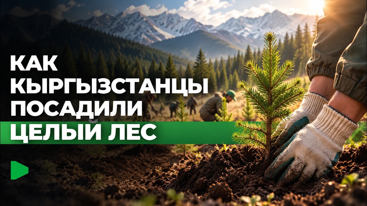Фото: Номад ТВ (YouTube)