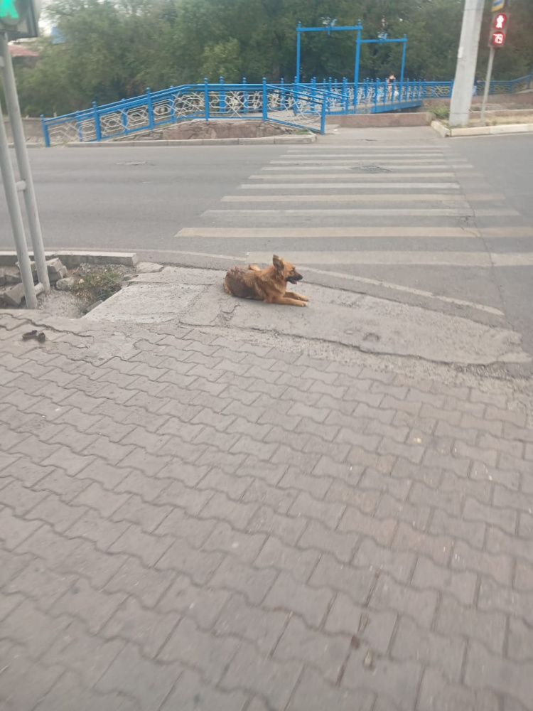 Сүрөт: Kaktus.media
