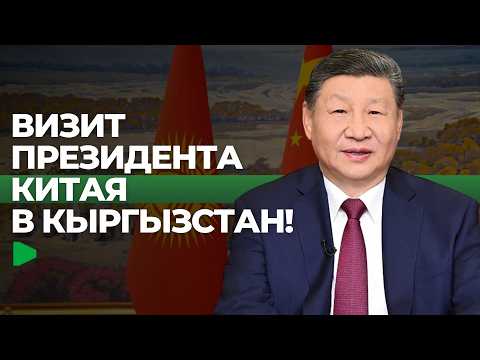 Фото: Номад ТВ (YouTube)