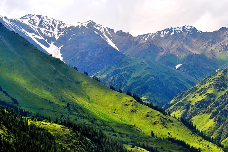 Фото: Кабар (рус.)