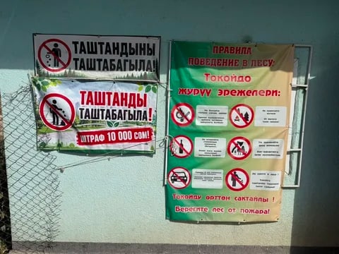 Фото: Кабар (рус.)