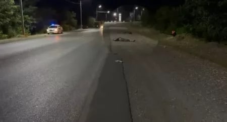 В Джалал-Абадской области водитель сбил пожилого велосипедиста и скрылся с места ДТП