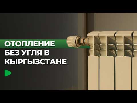 Фото: Номад ТВ (YouTube)