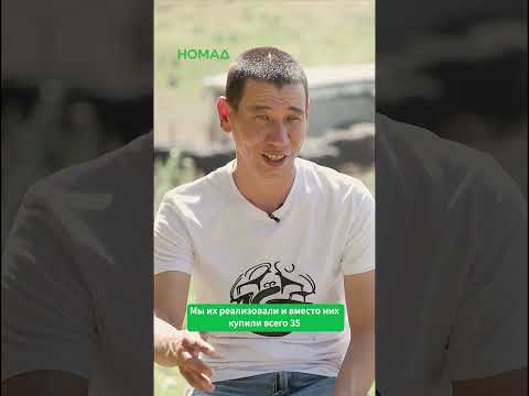 Кыргызстанда гигант сойло уйлар табылды