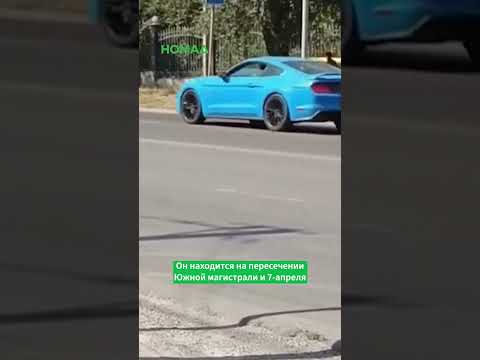 Сүрөт: Номад ТВ (YouTube)