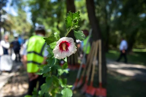 Фото: Кабар (рус.)