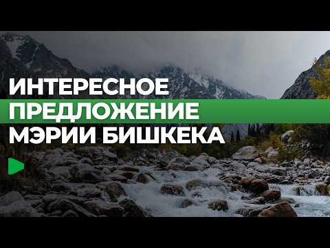 Сүрөт: Номад ТВ (YouTube)