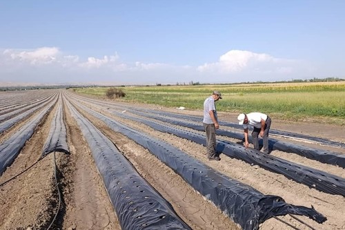 Кыргызстанда сууну үнөмдөөчү технологияларды киргизүүгө 450 миллион долларга чейин каражат керек