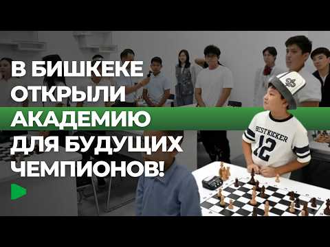 Фото: Номад ТВ (YouTube)