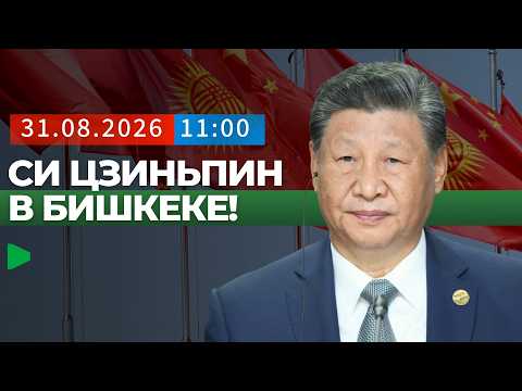 Фото: Номад ТВ (YouTube)