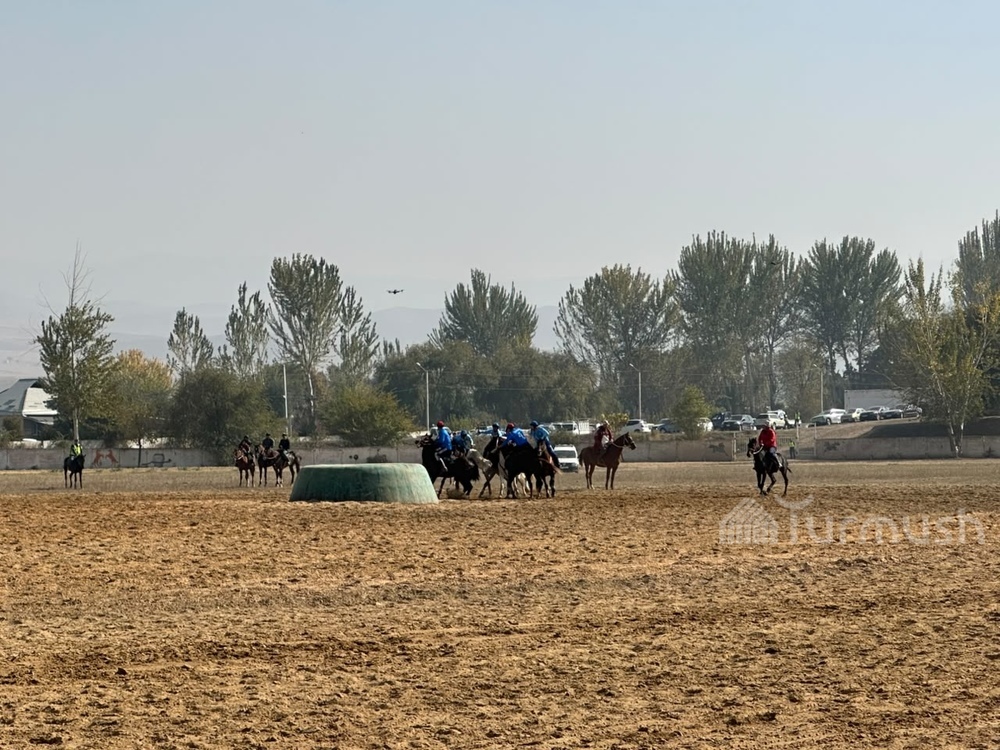 Сүрөт: Turmush