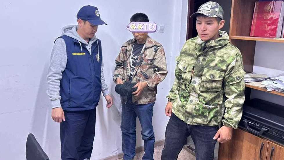 Нарында мыйзамсыз канаттууларды кармоо боюнча чет өлкөлүк жаран айыпка жыгылды